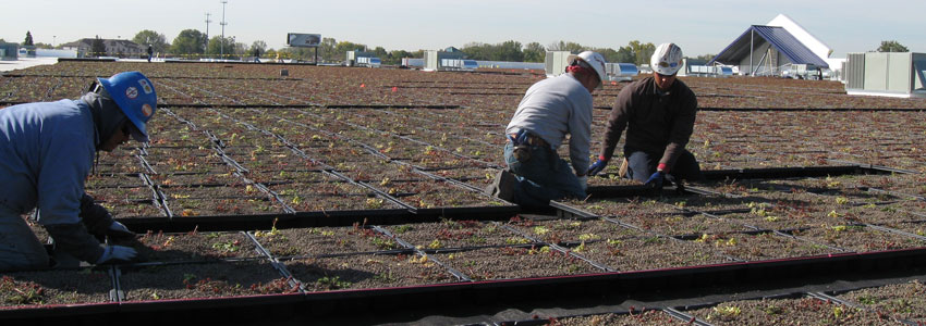 Garden Roofing