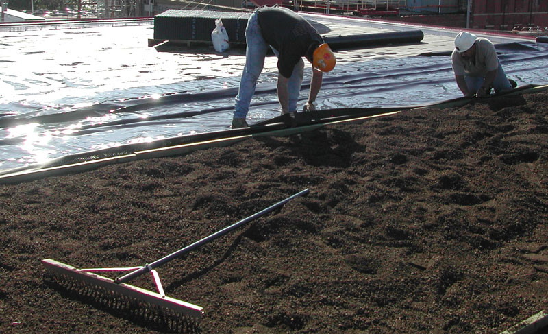 Vegetative Garden Roofs and PV Panels